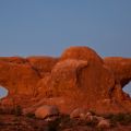 USA_2011_1338
