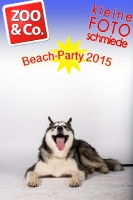 Beach-Party Zoo & Co.
