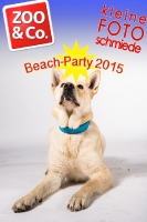 BeachParty_Zoo_Co_2015_07-012