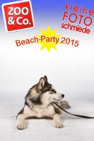 BeachParty_Zoo_Co_2015_07-043