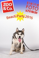 BeachParty_Zoo_Co_2015_07-045