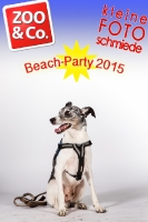 BeachParty_Zoo_Co_2015_07-048