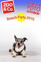 BeachParty_Zoo_Co_2015_07-049