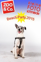 BeachParty_Zoo_Co_2015_07-050