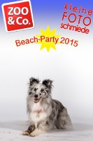 BeachParty_Zoo_Co_2015_07-057