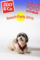 BeachParty_Zoo_Co_2015_07-061