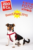 BeachParty_Zoo_Co_2015_07-064