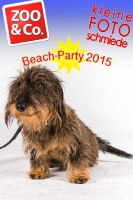 BeachParty_Zoo_Co_2015_07-075