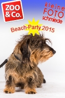 BeachParty_Zoo_Co_2015_07-076