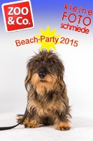 BeachParty_Zoo_Co_2015_07-077