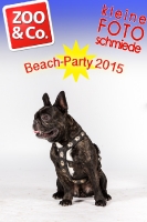 BeachParty_Zoo_Co_2015_07-078