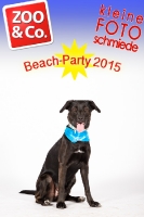 BeachParty_Zoo_Co_2015_07-165