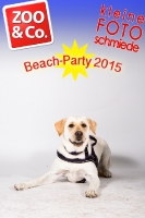 BeachParty_Zoo_Co_2015_07-170