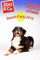 BeachParty_Zoo_Co_2015_07-176