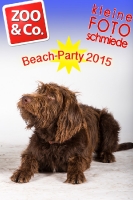 BeachParty_Zoo_Co_2015_07-185