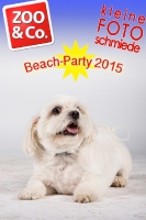 BeachParty_Zoo_Co_2015_07-192