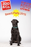 BeachParty_Zoo_Co_2015_07-199