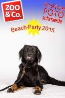 BeachParty_Zoo_Co_2015_07-204