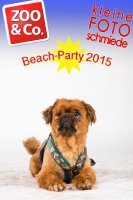 BeachParty_Zoo_Co_2015_07-206