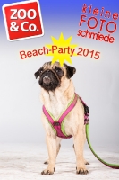 BeachParty_Zoo_Co_2015_07-207