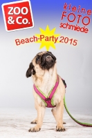 BeachParty_Zoo_Co_2015_07-208