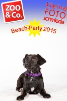 BeachParty_Zoo_Co_2015_07-212