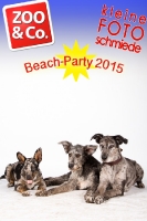 BeachParty_Zoo_Co_2015_07-214