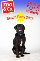 BeachParty_Zoo_Co_2015_07-218