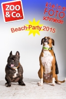 BeachParty_Zoo_Co_2015_07-223