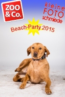 BeachParty_Zoo_Co_2015_07-225