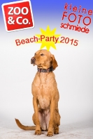 BeachParty_Zoo_Co_2015_07-226