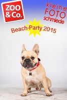 BeachParty_Zoo_Co_2015_07-228