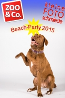 BeachParty_Zoo_Co_2015_07-234