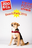 BeachParty_Zoo_Co_2015_07-241