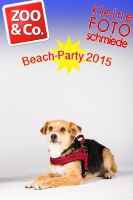 BeachParty_Zoo_Co_2015_07-242