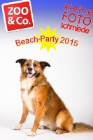 BeachParty_Zoo_Co_2015_07-243