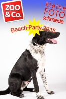 BeachParty_Zoo_Co_2015_07-245