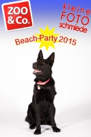 BeachParty_Zoo_Co_2015_07-250