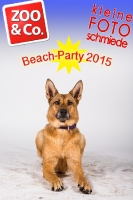 BeachParty_Zoo_Co_2015_07-260