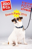 BeachParty_Zoo_Co_2015_07-263