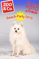 BeachParty_Zoo_Co_2015_07-266