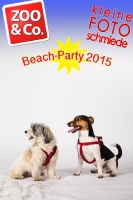 BeachParty_Zoo_Co_2015_07-267