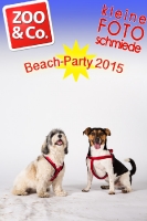 BeachParty_Zoo_Co_2015_07-268