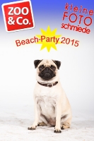 BeachParty_Zoo_Co_2015_07-279